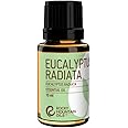 Rocky Mountain Oils Eucalyptus Radiata Essential Oil - Aromatherapy Essential Oils for Diffuser, Topical, and Home - 15ml