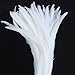 Sowder Pure White Rooster Coque Tail Feathers 13-16inch Lengh Pack of 50