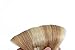 Vario Clip in Hair Extensions Human Hair Double Weft Brazilian Hair 22 Inch Mixed Bleach Blonde 7pcs 70g Set Silky Straight 100% Real Remy Human Hair Extensions Balayage Hair
