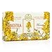 Nesti Dante Broom (Ginestra) Soap - Made in Italy