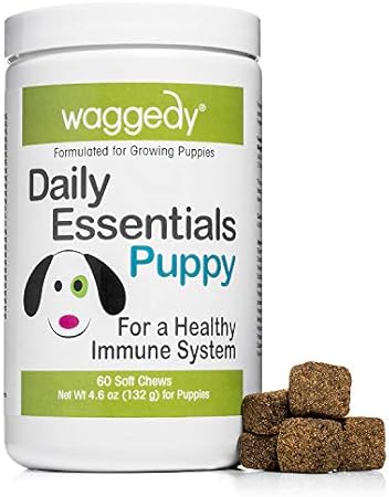 gummy vitamins for dogs