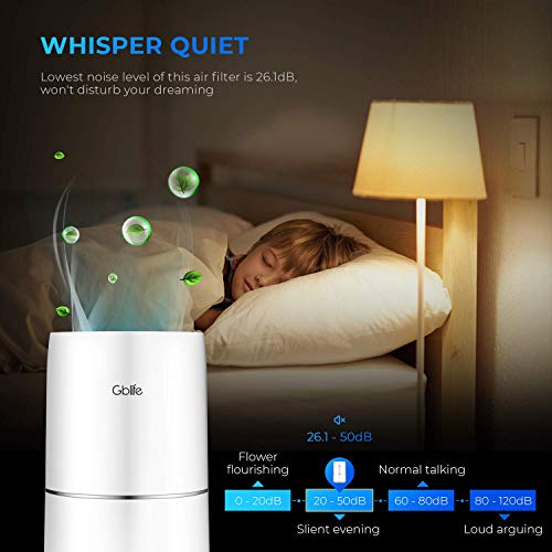 GBlife Air Purifiers for Home Bedroom and Office, True HEPA Filter Small Room Air Cleaner for