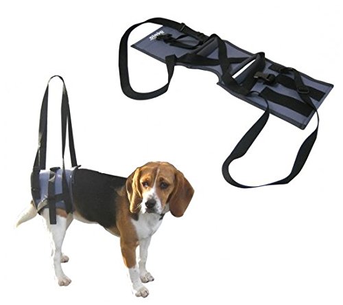 title=Supporto Veterinario Handy Canis- Imbragatura per cani con gravi problemi alle