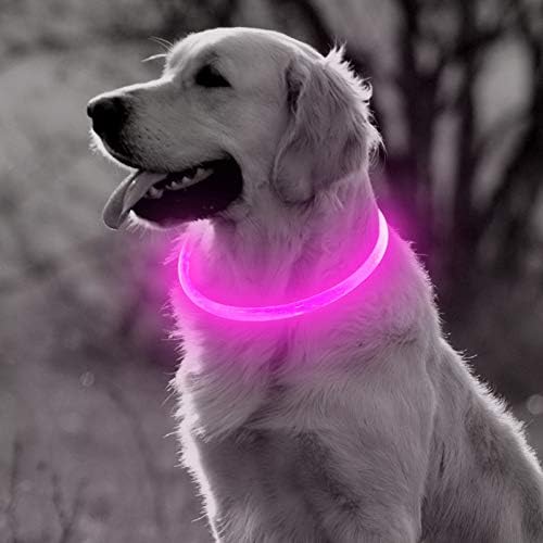 BSEEN LED Dog Collar