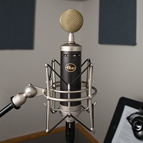 Blue-Microphones-Baby-Bottle-SL-Large-Diaphragm-Condenser-Microphone