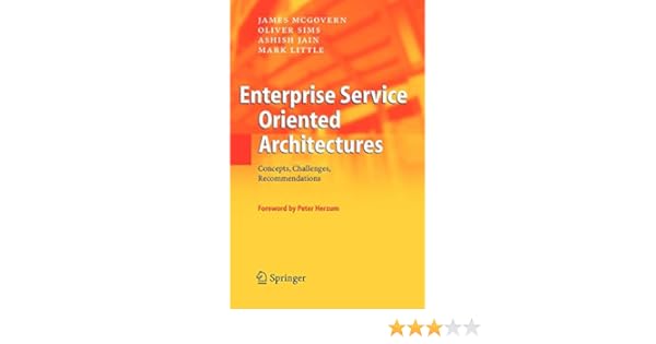 Enterprise Service Oriented Architectures Concepts - 