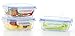 Kinetic Go Green Glass Works Elements 6-Piece Rectangular Food Storage Container Set includes 3 Containers and 3 Vented Lids 55093 by Kinetic