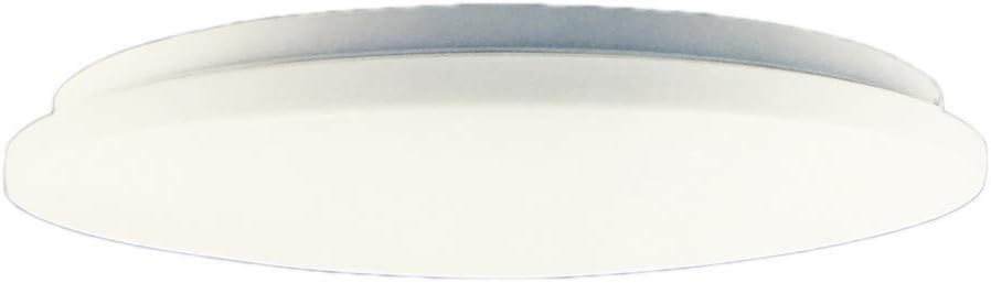 Fbright LED Ceiling Light, White