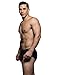Andrew Christian Trophy Boy Brief