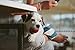Flea Tick Collar - LARGE DOG - ProGuard Plus II (safe pet protection from pest bites infestations larvae lice mosquitoes)