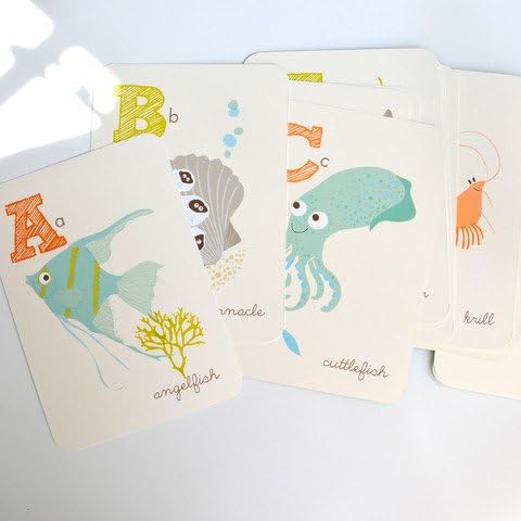 Sea Urchin Studio A To Z Cards Sea And Shore 5 X 7