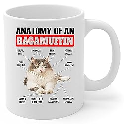 Lovesout Funny White Brown Tabby Ragamuffin Cat