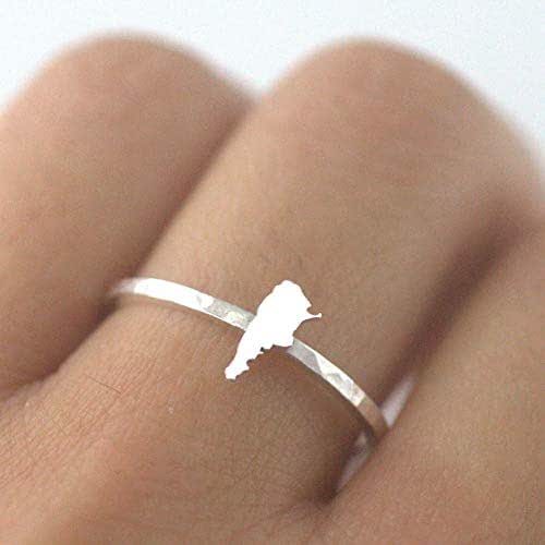 Argentina Map Ring, Sterling Silver Argentinian jewelry
