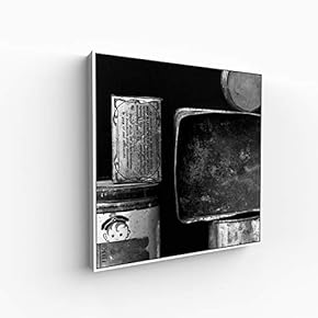 Canvas Wall Art for Living Room, Bedroom Silence Framed Canvas Prints for Home Decoration Ready to Hang - 16x16 inches