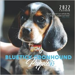 Bluetick Coonhound Puppies 2022 Calendar: Great Gifts for Anyone with