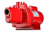 Red Lion 602207 Premium Cast Iron Shallow Well Jet Pump