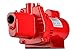 Red Lion 602207 Premium Cast Iron Shallow Well Jet Pump primary