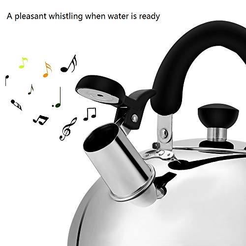 Stainless Steel Whistling Tea Kettle Tea Pot, Tea Kettles Stovetop 4.3Qt Large Capacity, Capsule Base Tea Pots for Stove Top (Silver Tone) by Ecpurchase