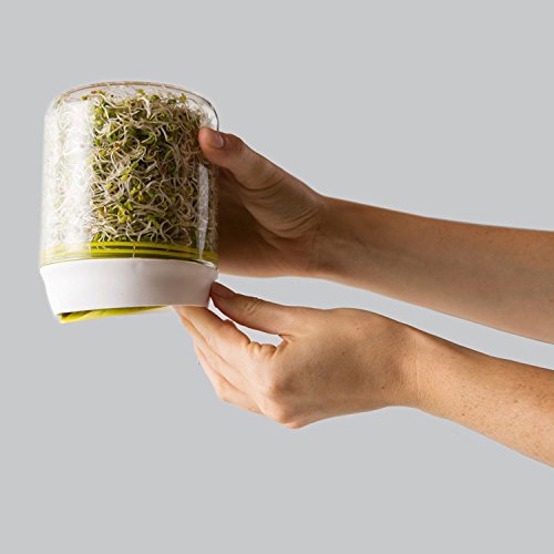 Chef'n 102-742-390 Countertop Sprouter Growing Kit, One Size, Backing White/Wasabi/Glass