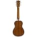 Kala KA-SLNG Long Neck Soprano Ukulele with GoDpsMusic Ukulele Chord Guide and Polish Cloth