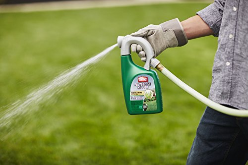 4 Ortho+Nutsedge+Ready+To+Spray+Killer+32+Ounce