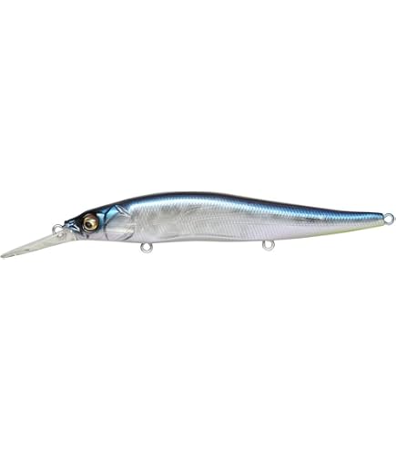 Amazon.com : Megabass Vision 110+1 GG Deadly Black Shad Jerkbait