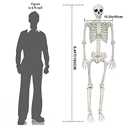 UMEELR 5.4FT Halloween Skeletons, Full Size