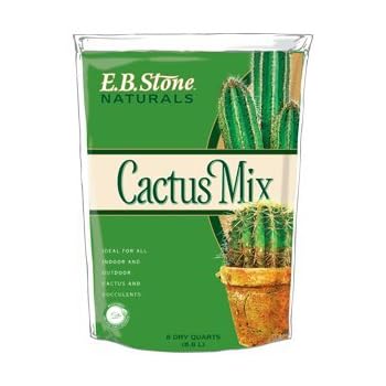 eb stone cactus and succulent mix