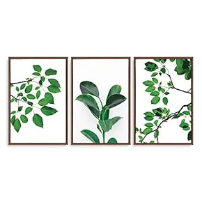 3 Piece Framed Canvas Wall Art for Living Room, Bedroom Green Plants Theme Canvas Prints for Home Decoration Ready to Hang - 16"x24"x3 Panels