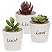MyGift 3-Inch Small White Ceramic Planter Pot with Live, Laugh, Love in Black Script, Decorative Mini Succulent Plant Holder, Home Office Decor Wedding Gift, 3 Piece Set