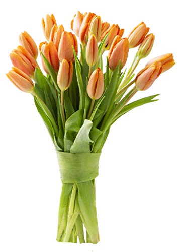 Blooms2Door 20 Orange Tulips (Farm-Fresh Flowers, Cut-to-Order, and Homegrown in the USA) - Thumbnail 6