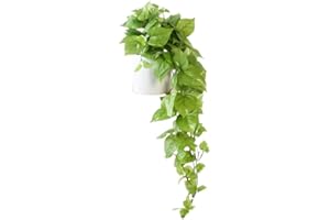 Retrograde 32" Realistic Fake Pothos Ivy Plant for Home Decor Indoor Silk Artificial Plant Large (Light Green)