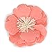 Martha Stewart Flower Pet Collar Accessory Set, One Size