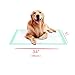 Thxpet Puppy Training Dog Pee Potty Pet Piddle Pads Super Absorbent Leak-Proof (N-40 Count-XL)