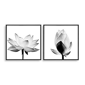 2 Piece Framed Canvas Home Artwork Decoration Transparent Flower Canvas Wall Art for Living Room, Bedroom - 16"x16"x2 Panels
