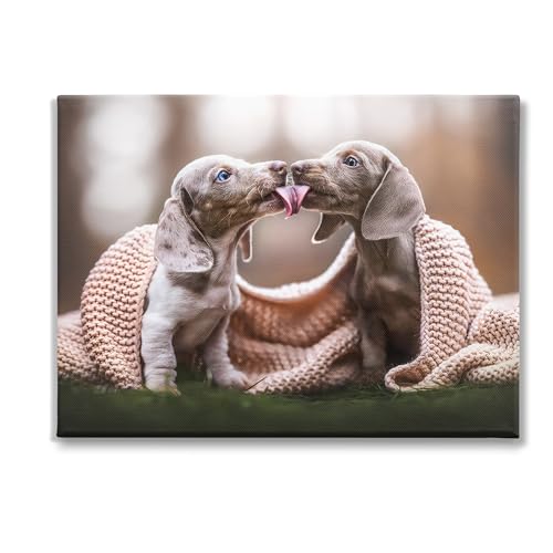 Stupell Industries Puppies with Blanket Canvas Wall Art by Natalie Grosse