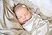Baby Muslin Swaddle Blanket by Lolly Llama – Single Soft 100% Bamboo Swaddle | Large Baby Swaddles for Quality Baby Comfort & Sleep | Muslin Swaddling and Receiving Blankets (Elephant)