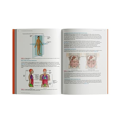 Anatomy And Physiology 2e By OpenStax (Official Print Version ...