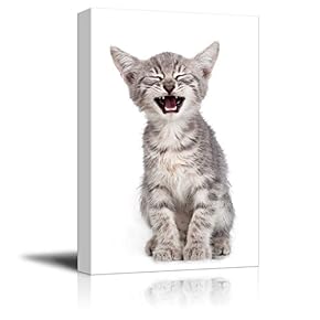 Canvas Wall Art - Yawning Kitty - Giclee Print Gallery Wrap Modern Home Art Ready to Hang - 12" x 18"