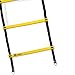 Limm Adjustable Training Agility Ladder - with Free Carry Bag, Hooks, and Online Tutorial Videos | Unique Rope Adjustment Markings & Durable Flat Rungs | for Speed, Footwork, Sports, Fitness and More