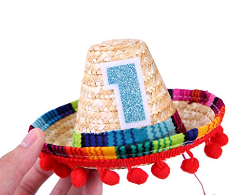 Mini Sombrero Hats for 1st Birthday - Fiesta Cupcake Toppers for Mexican Party Decorations, First Birthday Hat for Uno Party, Fiesta Party Supplies (Mini Sombrero Hats)