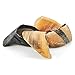 Best Bully Sticks 100% Natural Cow Hooves Dog Chews (25 Count Value Pack) - Free-Range & Grass-Fed Cattle - Long-Lasting Natural Alternative to Rawhide
