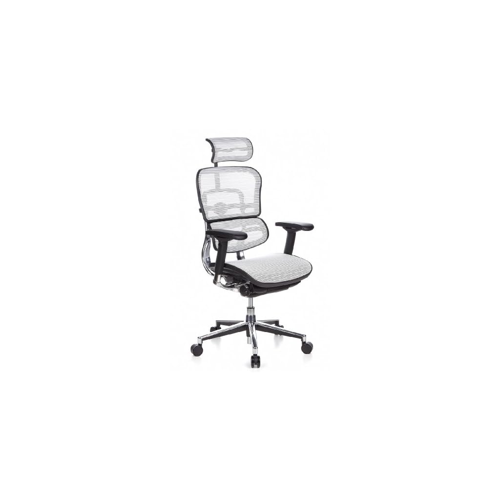 Sedia Ergonomica Ergohuman