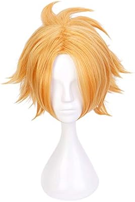 denki wig