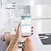 Digital Body Fat Scale - Best Smart Wireless - Weight - Bathroom - Body Composition Analyzer with iOS and Android App for Body Weight - Fat - Water - Bmi - Muscle Mass - 396lbs