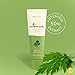 FACETORY Balancing Light Facial Creme - Lightweight Hydrating Soothing Cream Moisturizer - Fragrance-Free, For All Skin Types, 1.69 Fl. Oz
