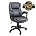 Komene Luxurious Executive Office Chair, High-Back Leather Computer Desk Chairs with Flexible Rocking System and Thickened Armrests with Padded, Dark Grey