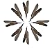 Prairie Horse Supply Replacement Feathers for Cat Wand (5 Pack) Refill for Da Bird GoCat Toy Top Choice Teaser Interactive Play for Kittens All Natural Genuine Guinea Feathers