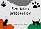 Livro Esse tal de preconceito!