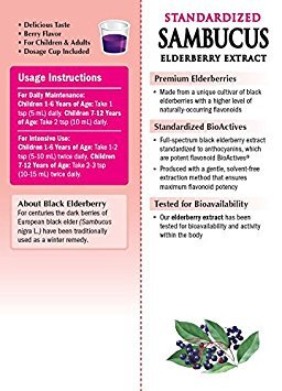 Nature's Way Sambucus Elderberry Immune Syrup for Kids Ages 2+, with Echinacea & Propolis, Immune Support Syrup*, Vegetarian, Berry Flavored, 8 Fl Oz